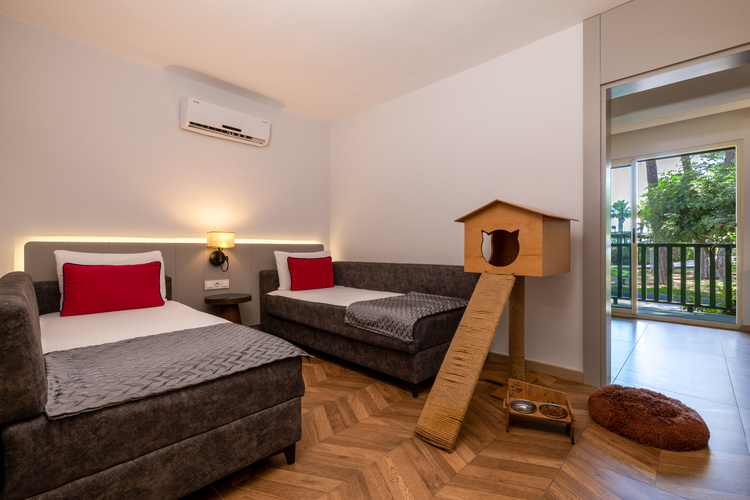 2-%20PET-FRIENDLY%20ROOM2%20%20-%20TSS